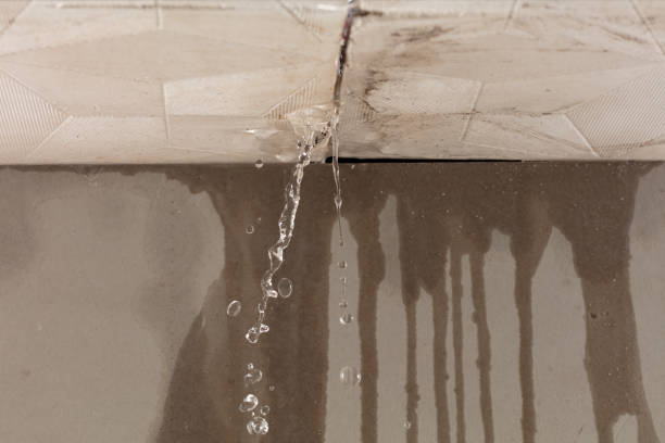 Professional Water Damage Inspection technician working in Newton, NH